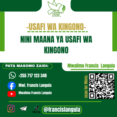 NINI MAANA YA USAFI WA KINGONO?